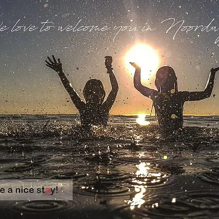 Have A Stay! - Beachhouse Stranddistel 100m From The Appartamento