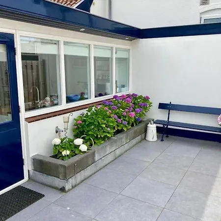 Have A Stay! - Beachhouse Stranddistel 100m From The Apartment *