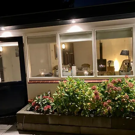 Have A Stay! - Beachhouse Stranddistel 100m From The Noordwijk