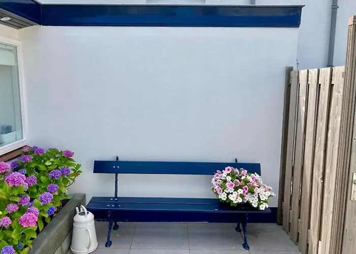 Appartement Have A Stay! - Beachhouse Stranddistel 100m From The Noordwijk