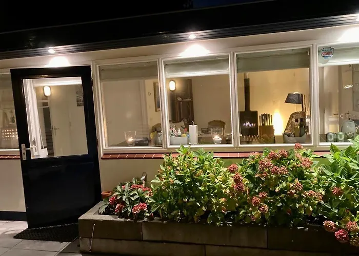 Have A Stay! - Beachhouse Stranddistel 100m From The Noordwijk